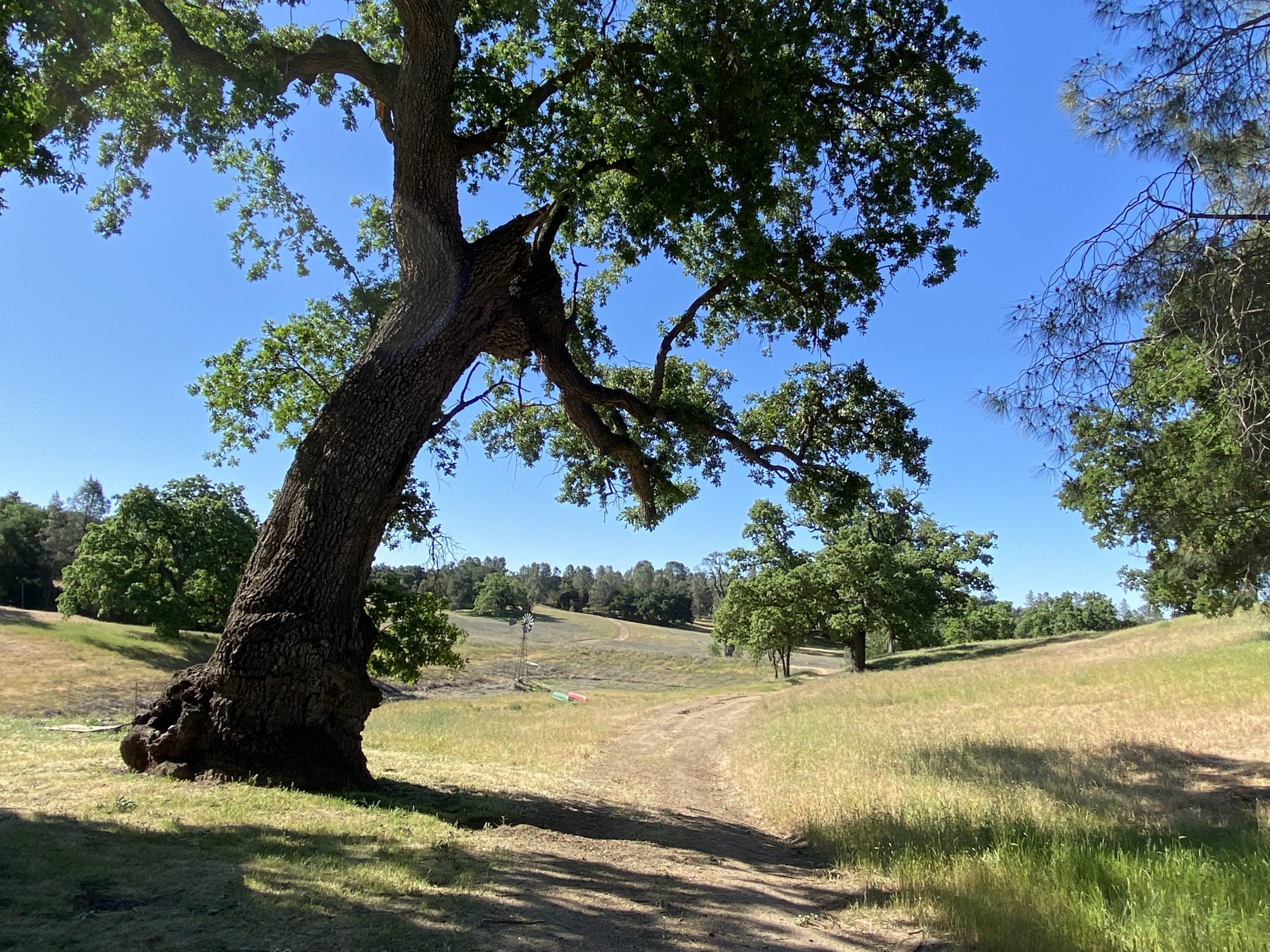 Central Coast Ranch Rental Vacation VRBO